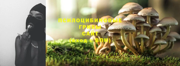 крисы Арсеньев