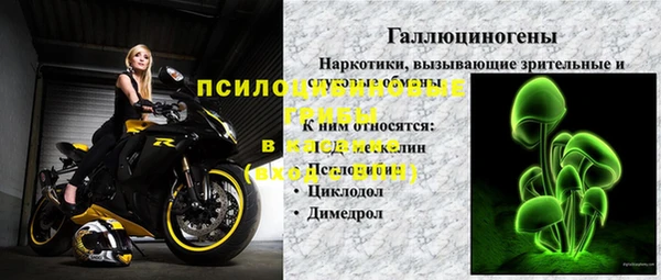 крисы Арсеньев