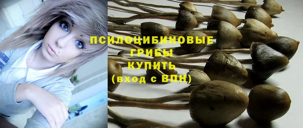 спиды Армянск