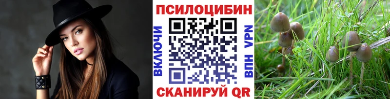 Галлюциногенные грибы Psilocybe  Кремёнки 